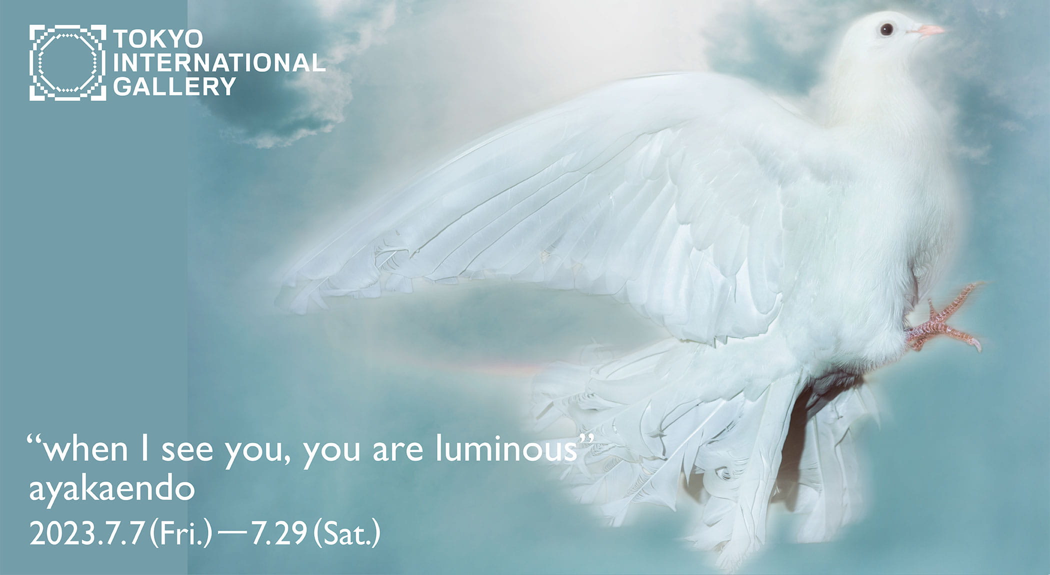 ”when I see you, you are luminous”
